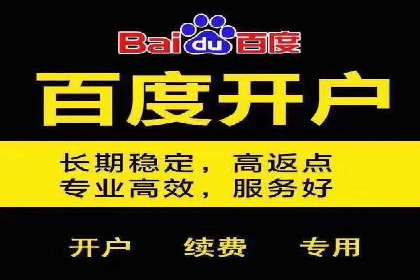 SEM实战案例：案例分析广告投放